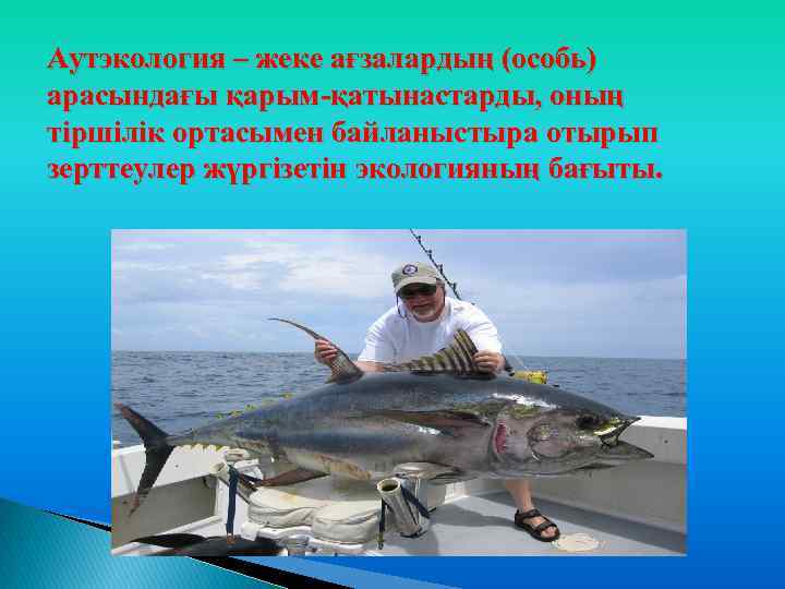 Аутэкология – жеке ағзалардың (особь) арасындағы қарым-қатынастарды, оның тіршілік ортасымен байланыстыра отырып зерттеулер жүргізетін