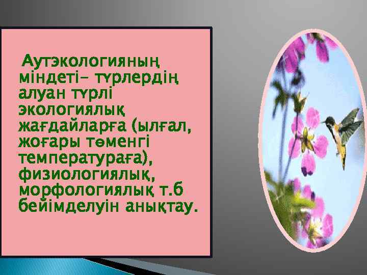 Аутэкологияның міндеті- түрлердің алуан түрлі экологиялық жағдайларға (ылғал, жоғары төменгі температураға), физиологиялық, морфологиялық т.