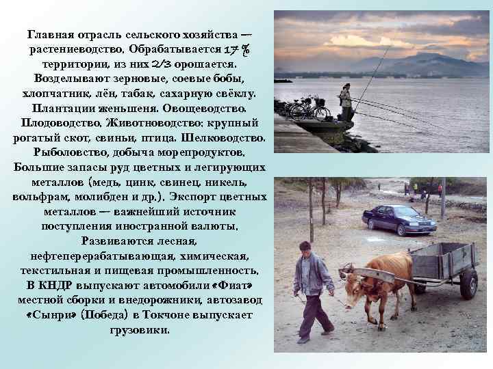 Главная отрасль сельского хозяйства — растениеводство. Обрабатывается 17 % территории, из них 2/3 орошается.