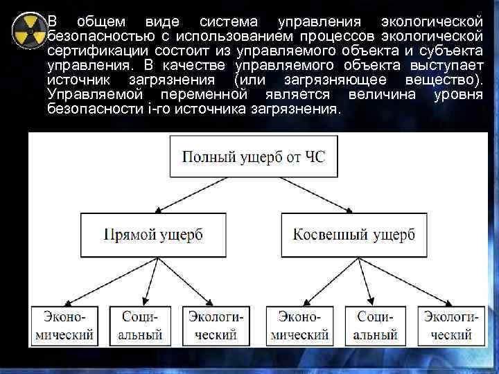  • В общем виде система управления экологической безопасностью с использованием процессов экологической сертификации