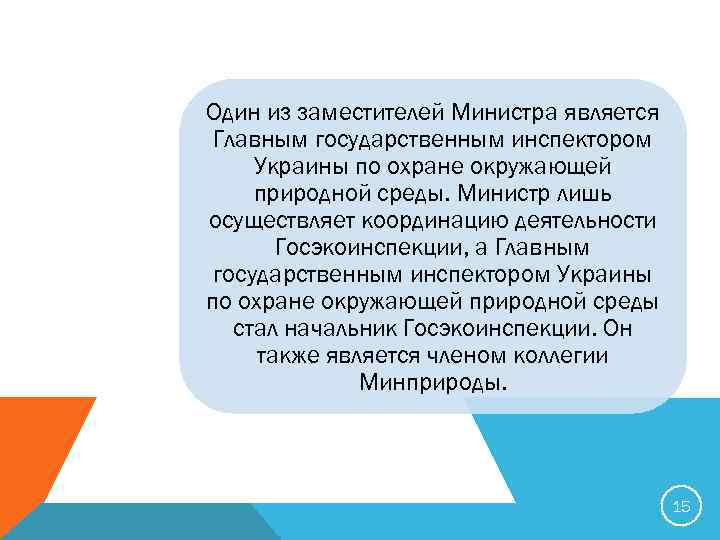 Один из заместителей Министра является Главным государственным инспектором Украины по охране окружающей природной среды.