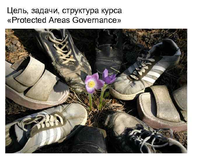 Цель, задачи, структура курса «Protected Areas Governance» 