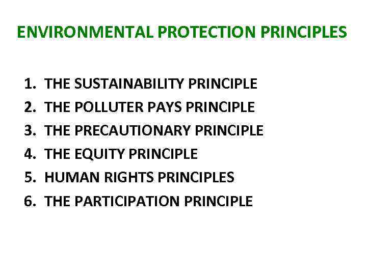 ENVIRONMENTAL PROTECTION PRINCIPLES 1. 2. 3. 4. 5. 6. THE SUSTAINABILITY PRINCIPLE THE POLLUTER