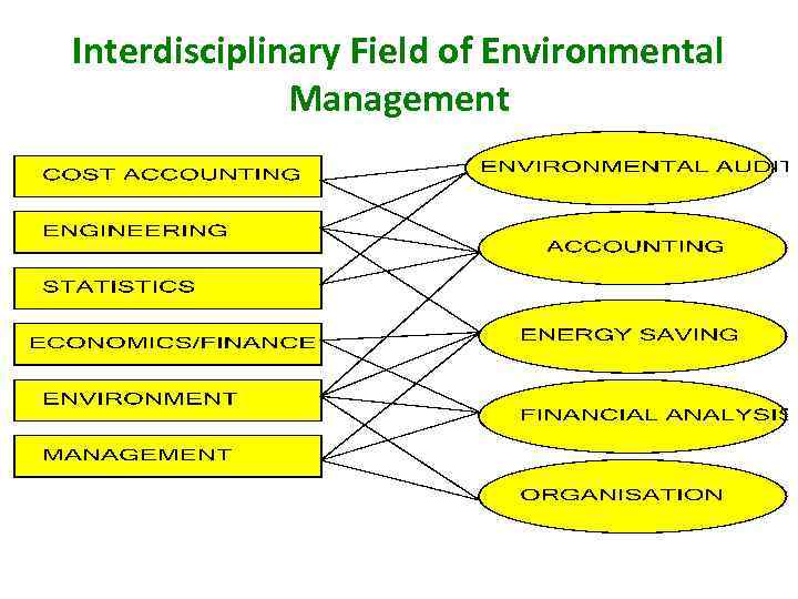 Interdisciplinary Field of Environmental Management 