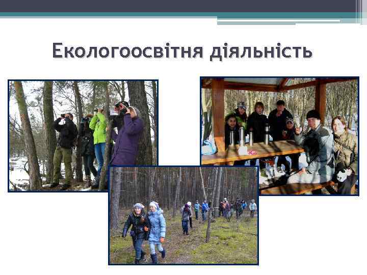 Екологоосвітня діяльність 