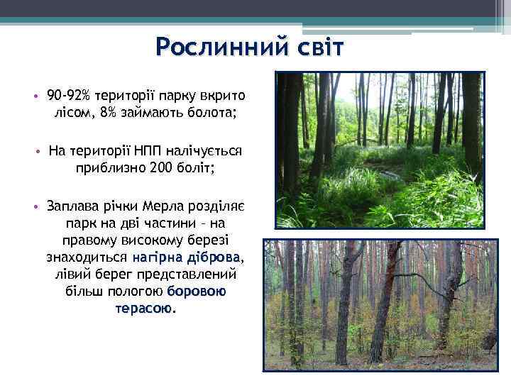 Рослинний світ • 90 -92% території парку вкрито лісом, 8% займають болота; • На