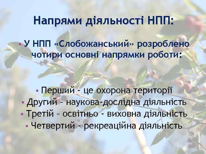 Напрями діяльності НПП: • У НПП «Слобожанський» розроблено чотири основні напрямки роботи: • Перший
