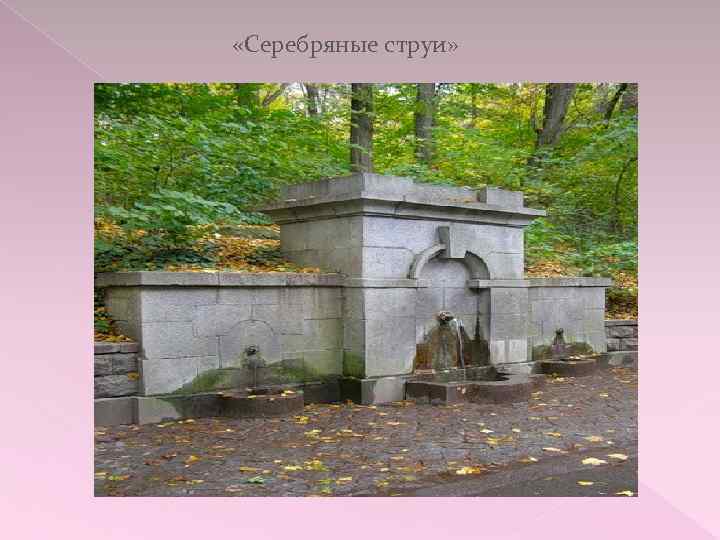  «Серебряные струи» 