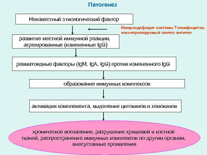 Патогенез Неизвестный этиологический фактор Иммунодефицит системы Т-лимфоцитов, неконтролируемый синтез антител развитие местной иммунной реакции,