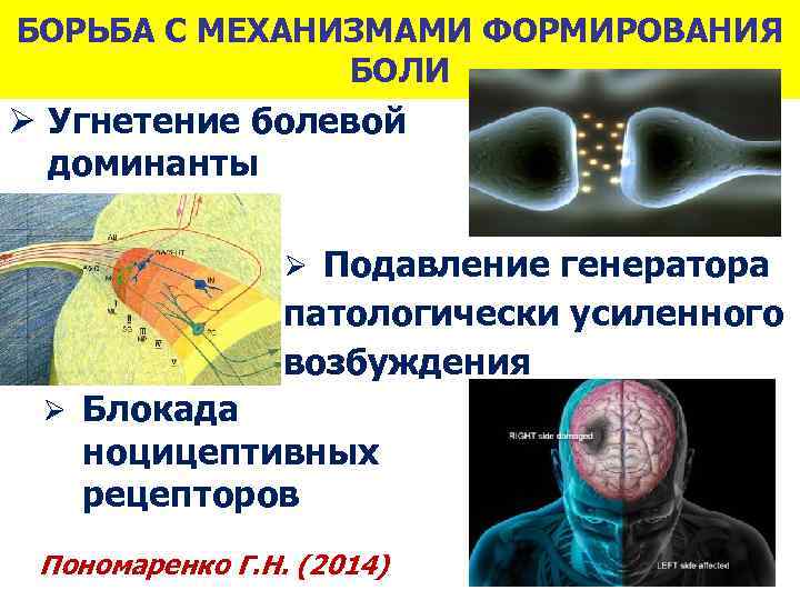 БОРЬБА С МЕХАНИЗМАМИ ФОРМИРОВАНИЯ БОЛИ Ø Угнетение болевой доминанты Ø Подавление генератора патологически усиленного