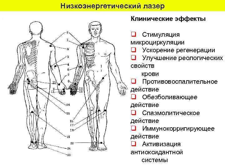 Низкоэнергетический лазер Клинические эффекты q Стимуляция микроциркуляции q Ускорение регенерации q Улучшение реологических свойств