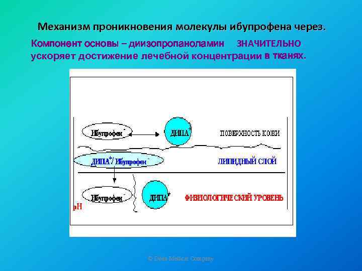 Механизм проникновения молекулы ибупрофена через. Компонент основы – диизопропаноламин ЗНАЧИТЕЛЬНО ускоряет достижение лечебной концентрации