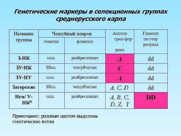 Генетическое соответствие