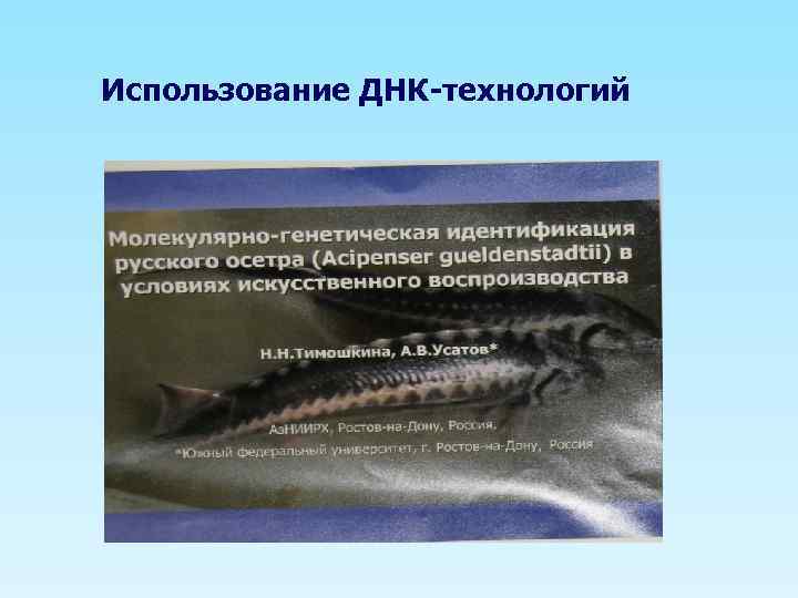 Использование ДНК-технологий 