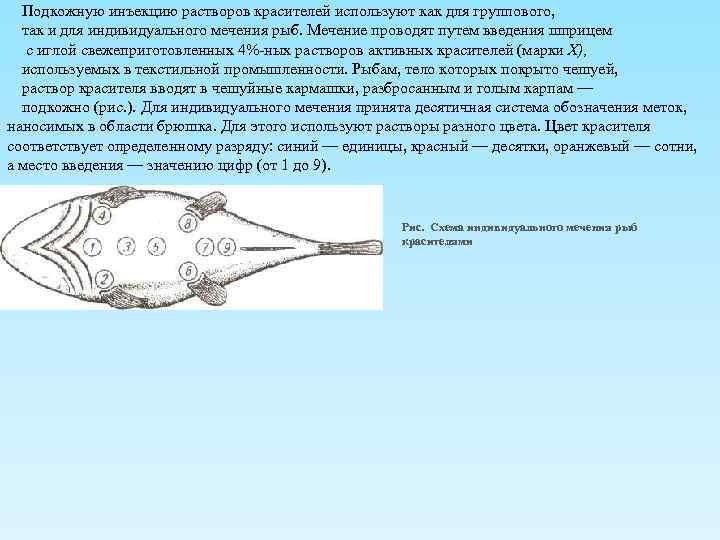 Подкожную инъекцию растворов красителей используют как для группового, так и для индивидуального мечения рыб.