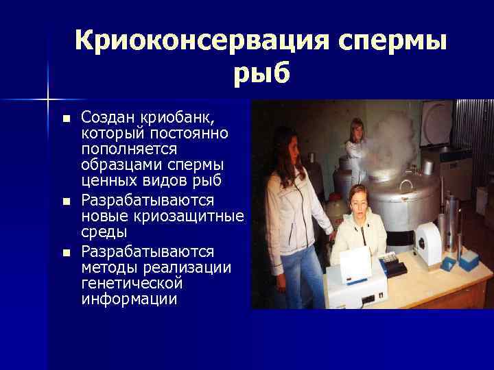 Криоконсервация спермы рыб n n n Создан криобанк, который постоянно пополняется образцами спермы ценных