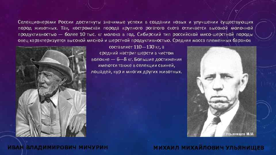 Селекционерами России достигнуты значимые успехи в создании новых и улучшении существующих пород животных. Так,