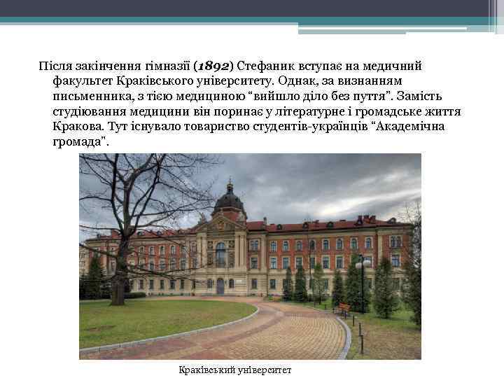 Після закінчення гімназії (1892) Стефаник вступає на медичний факультет Краківського університету. Однак, за визнанням