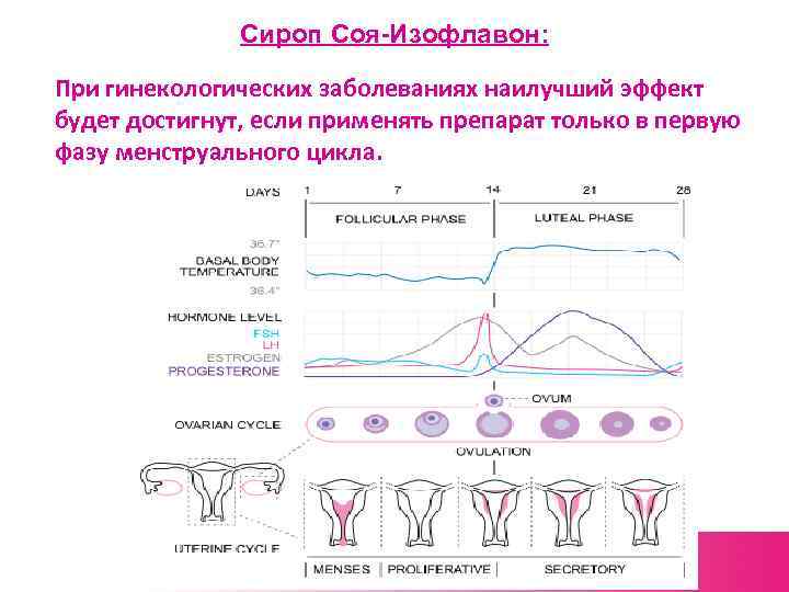 Сироп Соя-Изофлавон: При гинекологических заболеваниях наилучший эффект будет достигнут, если применять препарат только в