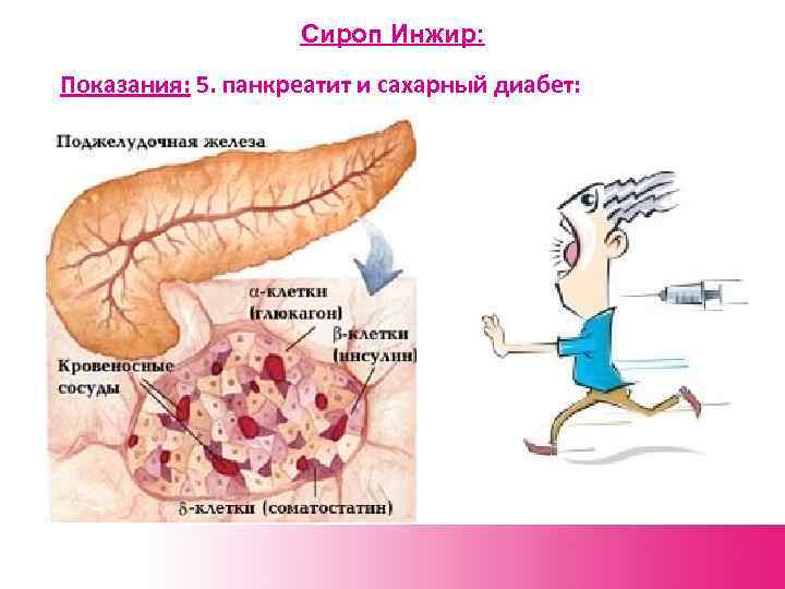 Сироп Инжир: Показания: 5. панкреатит и сахарный диабет: 