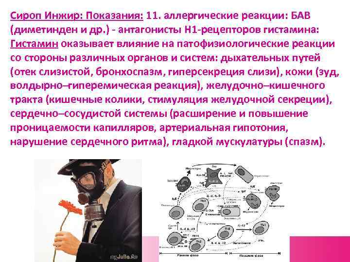 Сироп Инжир: Показания: 11. аллергические реакции: БАВ (диметинден и др. ) - антагонисты Н