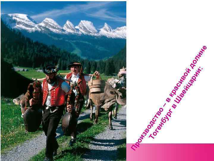 зв То одс ге тв нб о – ур в г в кр Ш