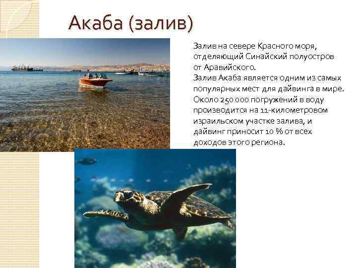 Акаба (залив) Залив на севере Красного моря, отделяющий Синайский полуостров от Аравийского. Залив Акаба