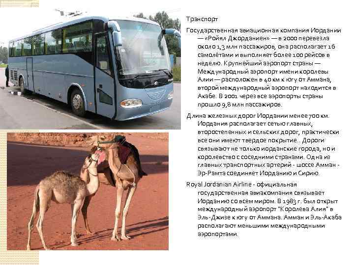 Транспорт Государственная авиационная компания Иордании — «Ройял Джорданиен» — в 2000 перевезла около 1,