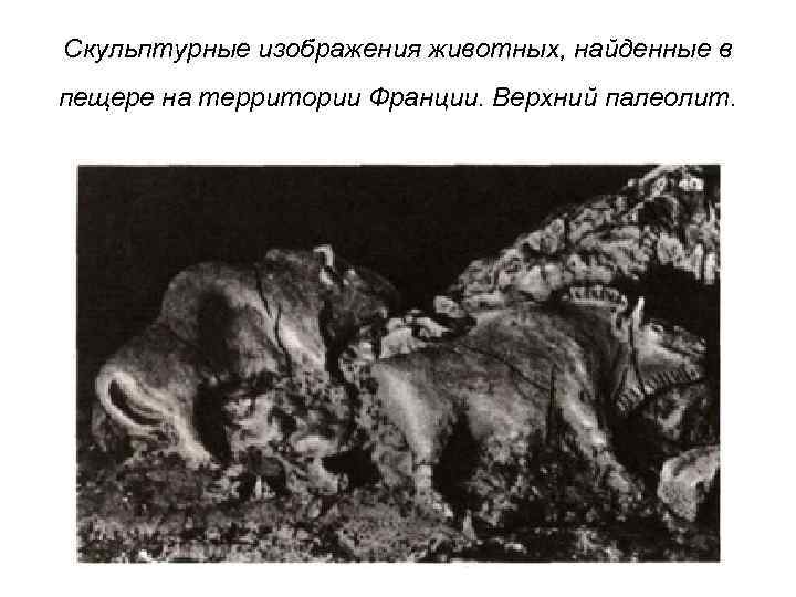 Скульптурные изображения животных, найденные в пещере на территории Франции. Верхний палеолит. 