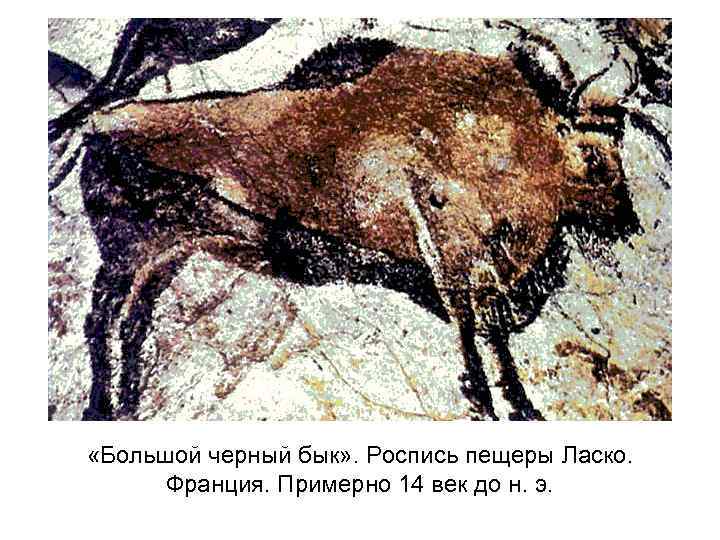  «Большой черный бык» . Роспись пещеры Ласко. Франция. Примерно 14 век до н.