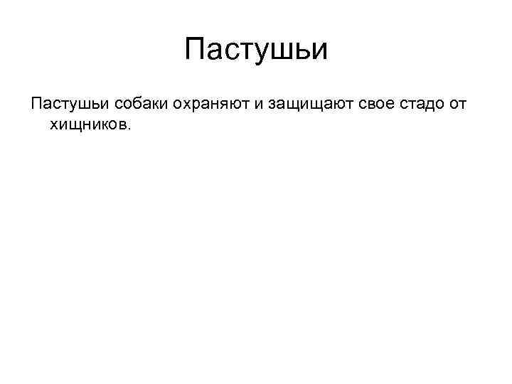 Пастушьи собаки охраняют и защищают свое стадо от хищников. 