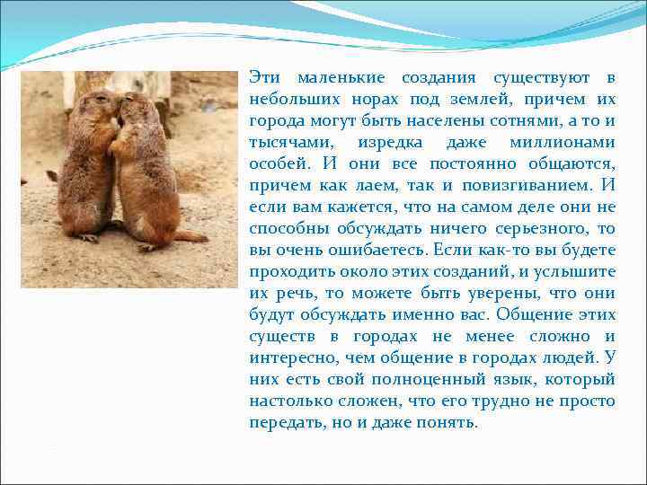 Эти маленькие создания существуют в небольших норах под землей, причем их города могут быть