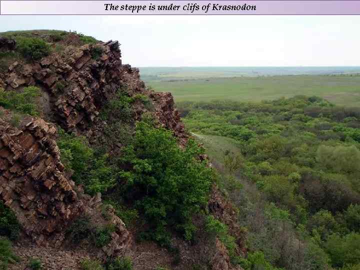 The steppe is under clifs of Krasnodon 