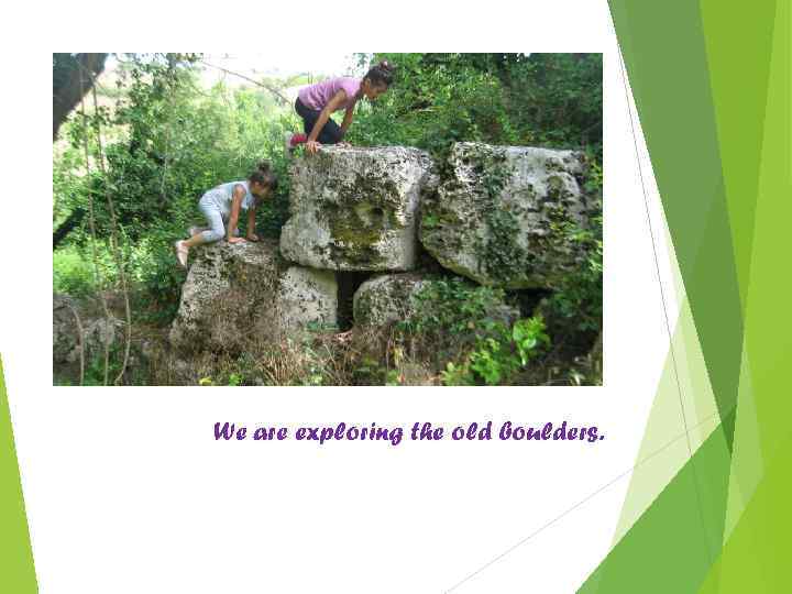 We are exploring the old boulders. 