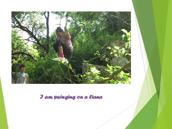 I am swinging on a liana 