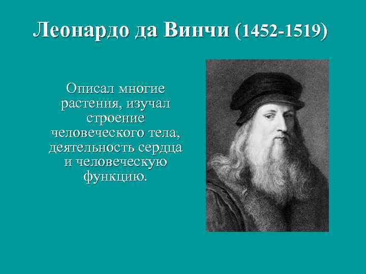 Леонардо да Винчи (1452 -1519) Описал многие растения, изучал строение человеческого тела, деятельность сердца