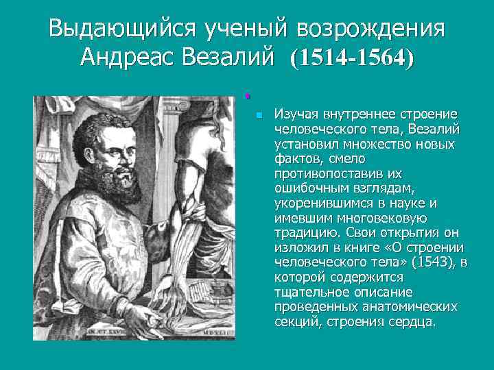 Выдающийся ученый возрождения Андреас Везалий (1514 -1564) . n Изучая внутреннее строение человеческого тела,