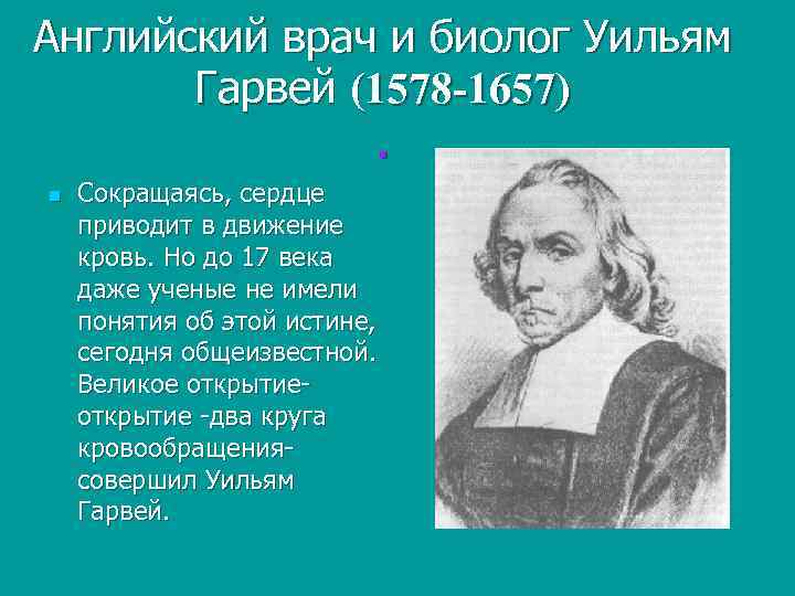 Английский врач и биолог Уильям Гарвей (1578 -1657). n Сокращаясь, сердце приводит в движение