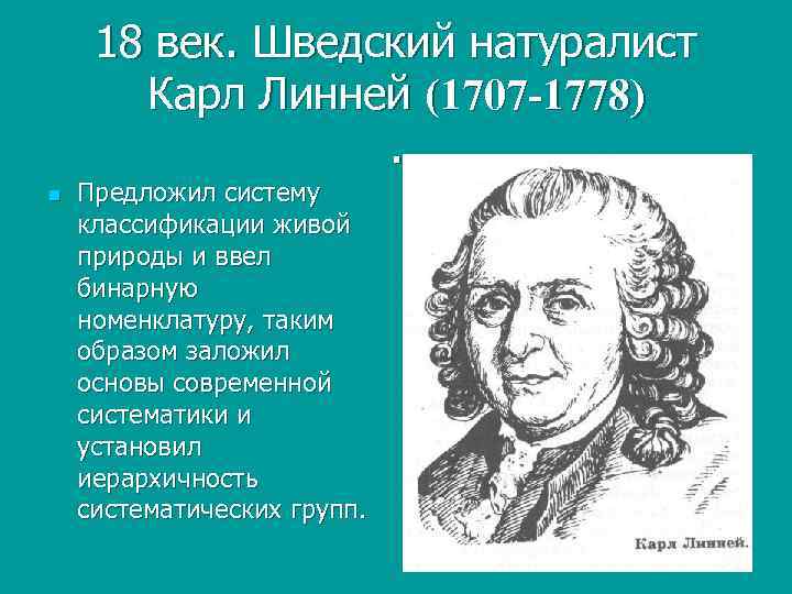 18 век. Шведский натуралист Карл Линней (1707 -1778). n Предложил систему классификации живой природы