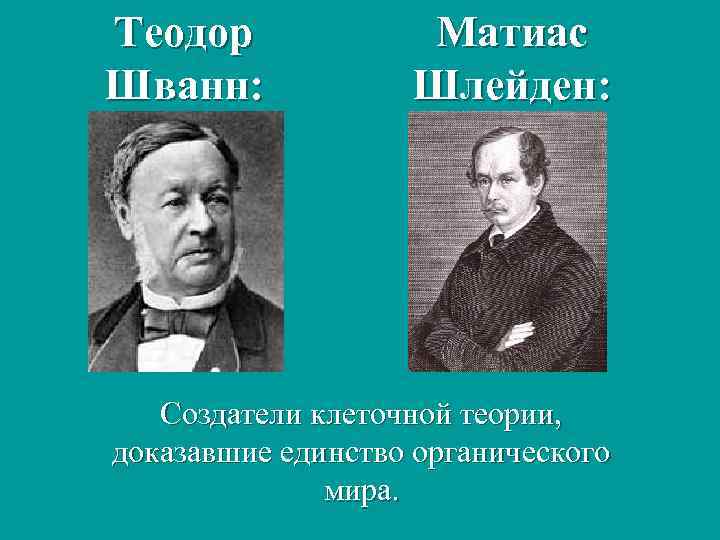 Теодор Шванн: Матиас Шлейден: Создатели клеточной теории, доказавшие единство органического мира. 