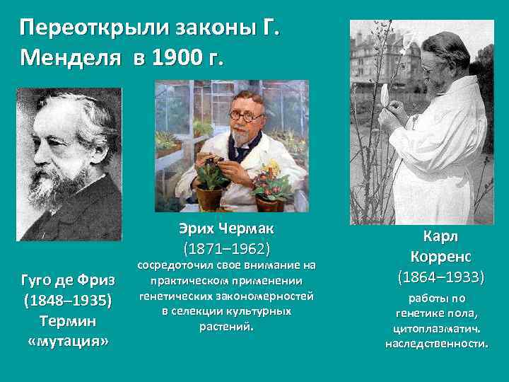 Переоткрыли законы Г. Менделя в 1900 г. Эрих Чермак (1871– 1962) Гуго де Фриз