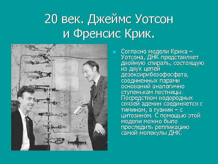 20 век. Джеймс Уотсон и Френсис Крик. n Согласно модели Крика – Уотсона, ДНК