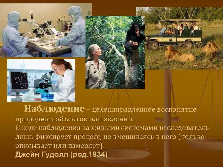 Восприятие природных объектов с помощью органов. Метод наблюдения в биологии. Наблюдение это в биологии. Наблюдательный метод в биологии. Методы исследования в биологии наблюдение.