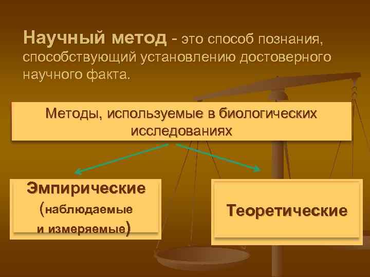 Научный метод - это способ познания, способствующий установлению достоверного научного факта. Методы, используемые в