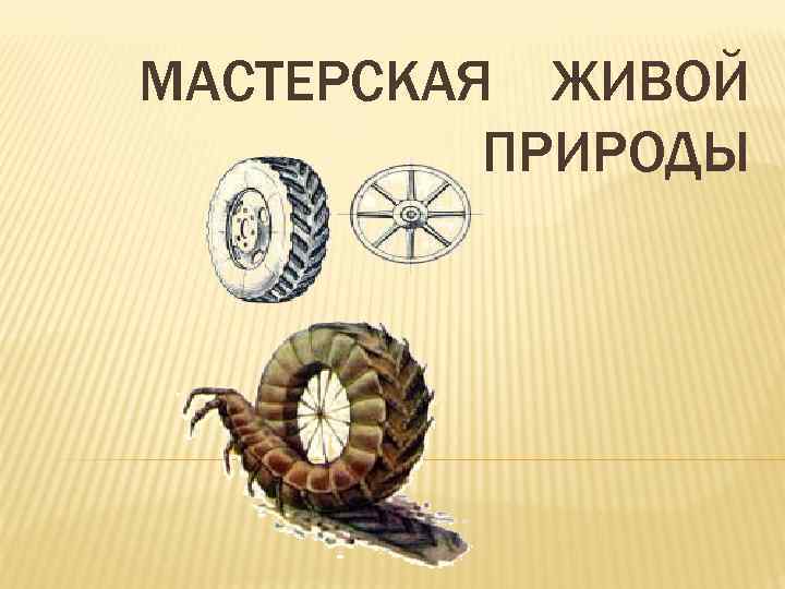 МАСТЕРСКАЯ ЖИВОЙ ПРИРОДЫ 