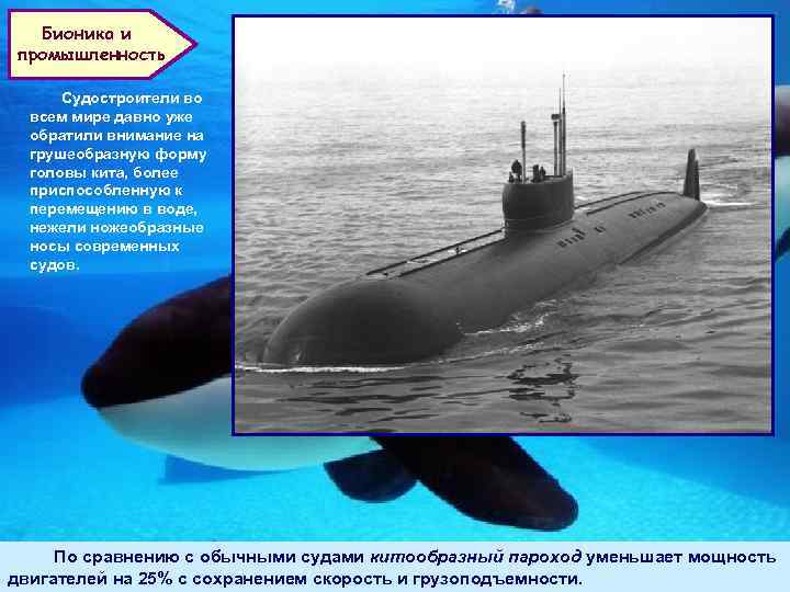 Бионика и промышленность Судостроители во всем мире давно уже обратили внимание на грушеобразную форму