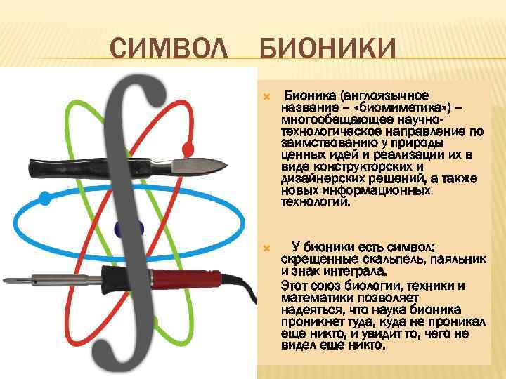 Наука с бионикой 11 букв