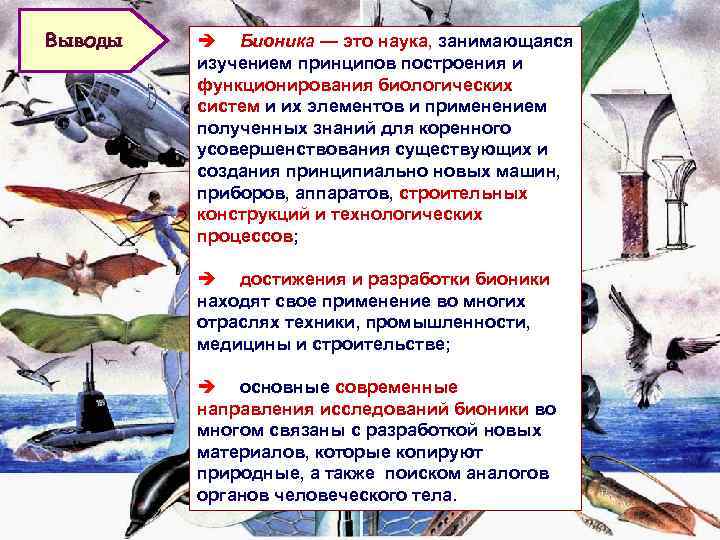 Выводы è Бионика — это наука, занимающаяся изучением принципов построения и функционирования биологических систем