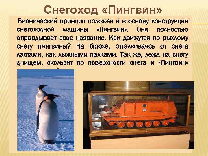 Снегоход «Пингвин» Бионический принцип положен и в основу конструкции снегоходной машины «Пингвин» . Она