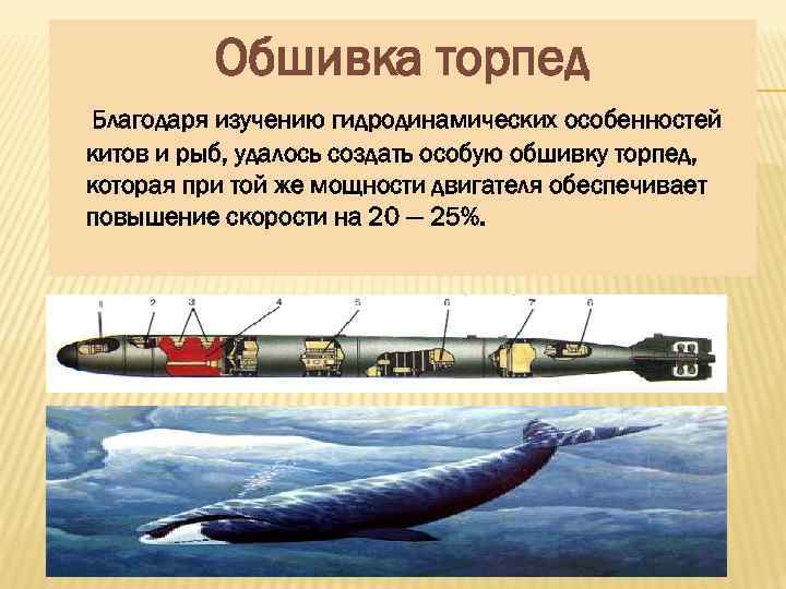 Обшивка торпед Благодаря изучению гидродинамических особенностей китов и рыб, удалось создать особую обшивку торпед,